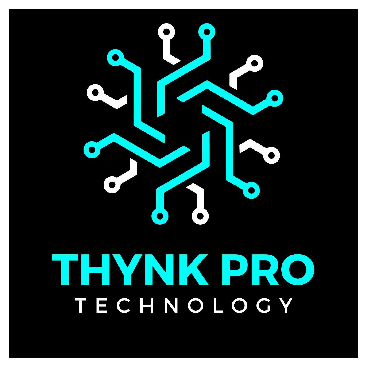 Logo ThynkPro Technology